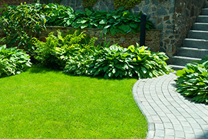 leuchtend grüne Gartenanlage mit Büschen und gepflastertem Weg.